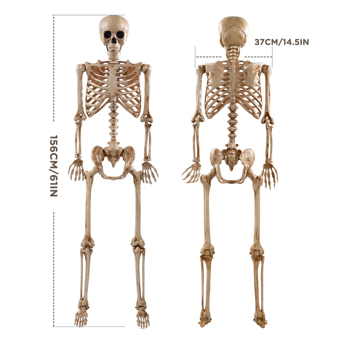 Ayieyill 5.4ft Halloween Skeleton Decorations, Weathered Posable Skeleton Decor for Halloween Decorations Outdoor Indoor
