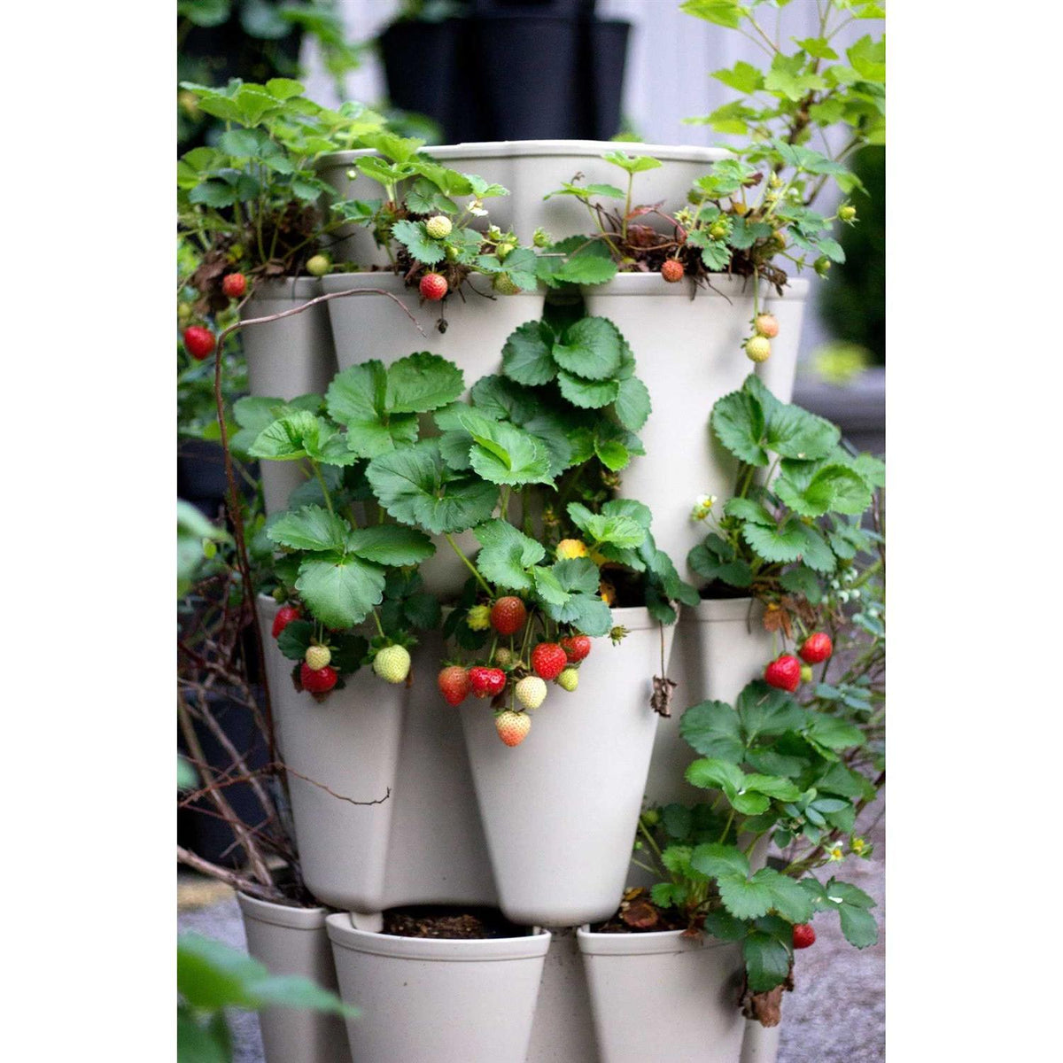 GreenStalk Large 5 Tier Vertical Garden Planter With Internal Watering System