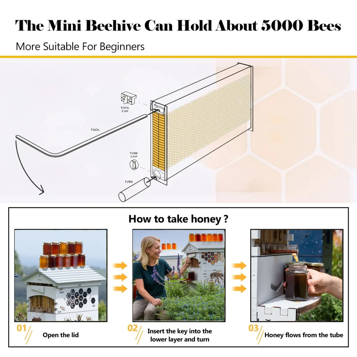 AUSHIVE Wax-Coated Cedarwood Beehive Kit With 4 Beehive Frames And 6 Brood Frames - Beige