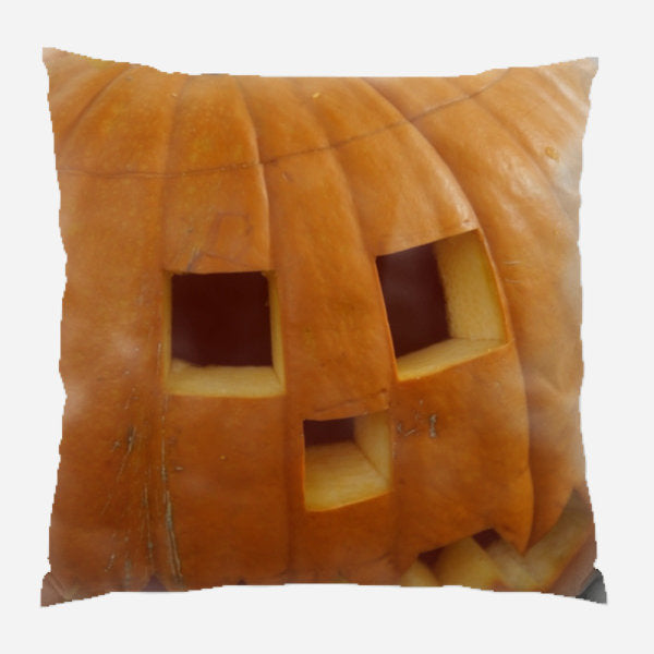 Outdoor Reversible Throw Pillow