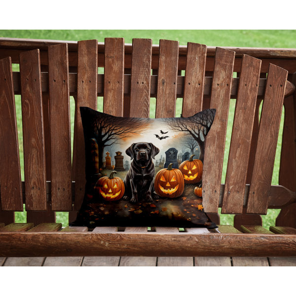 Outdoor Throw Pillow